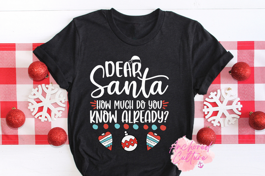 Dear Santa…how much do you know already?